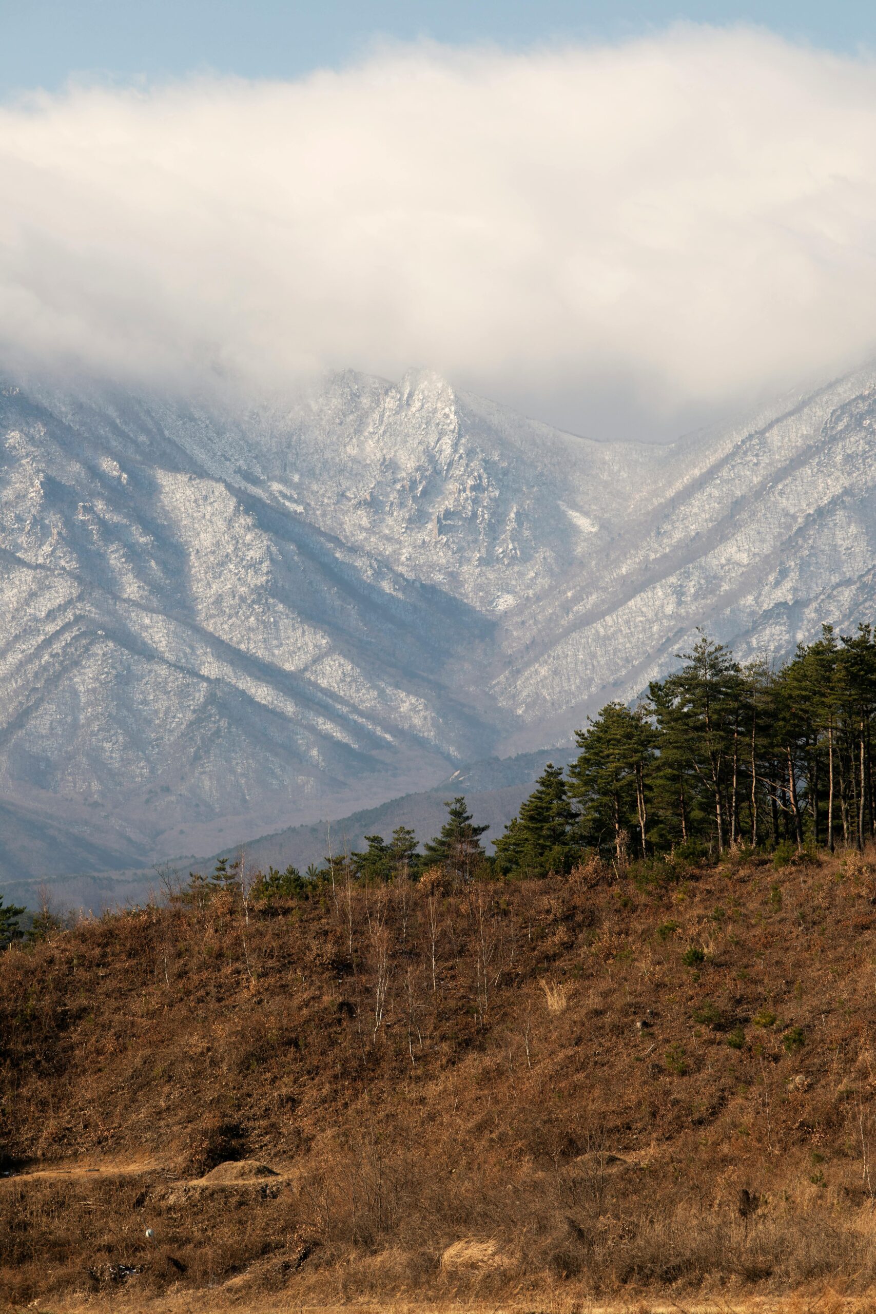 project activities and results