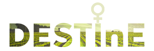 logo destine nobackground